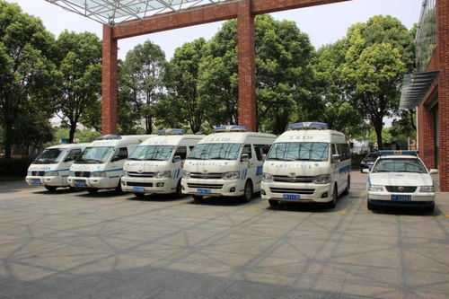 守護(hù)生命通道 浦東新區(qū)區(qū)域救治服務(wù)體系全面升級(jí)